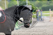 ref. photo 3586410