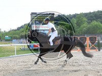 ref. photo 4042121