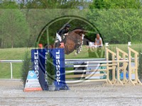 ref. photo 4043023