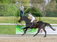 ref. photo 4043088