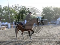 ref. photo 4043139