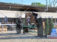 ref. photo 4043337