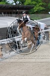 ref. photo 3586908