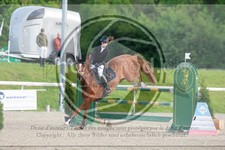 ref. photo 3587152