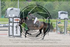 ref. photo 3587158