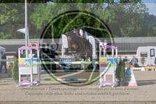 ref. photo 3587326