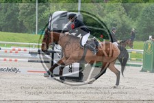 ref. photo 3587344
