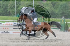 ref. photo 3587498