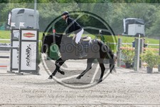 ref. photo 3587534