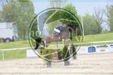ref. photo 3587936