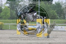 ref. photo 3588018