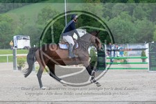 ref. photo 3588047