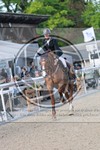 ref. photo 3588067