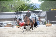 ref. photo 3588337