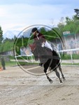ref. photo 4046736