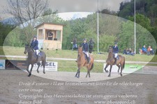 ref. photo 3146675
