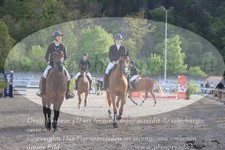 ref. photo 3146755