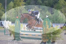 ref. photo 3146803
