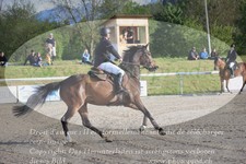 ref. photo 3146826