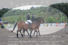 ref. photo 3146845