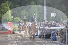 ref. photo 3146882