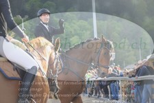 ref. photo 3146886