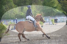 ref. photo 3146901