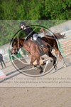 ref. photo 3589135