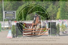 ref. photo 3589137