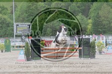 ref. photo 3589278