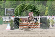 ref. photo 3589541