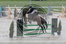 ref. photo 3589761