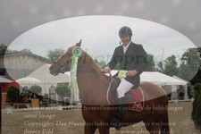 ref. photo 3190520