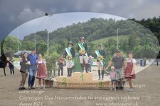 ref. photo 3190622
