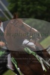 ref. photo 3190632