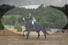 ref. photo 3190640