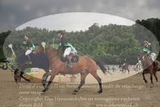 ref. photo 3190646