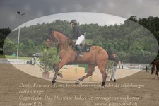 ref. photo 3190648