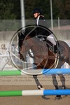 ref. photo 3772009