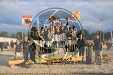 ref. photo 3772085