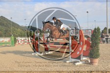 ref. photo 3772200