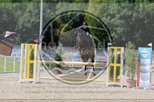 ref. photo 3772267