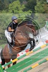 ref. photo 3772449