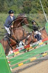 ref. photo 3772716