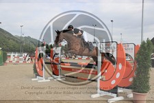 ref. photo 3772727
