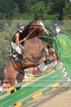 ref. photo 3772797