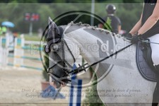 ref. photo 3773049