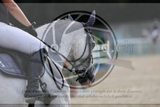 ref. photo 3773057
