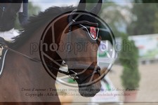 ref. photo 3773154
