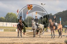 ref. photo 3773170